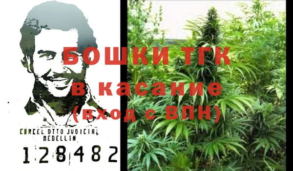 гидра Белоозёрский