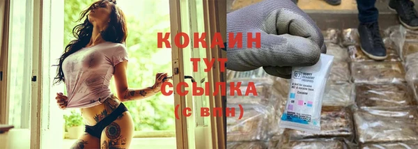 гидра Белоозёрский