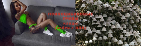 крисы Белокуриха