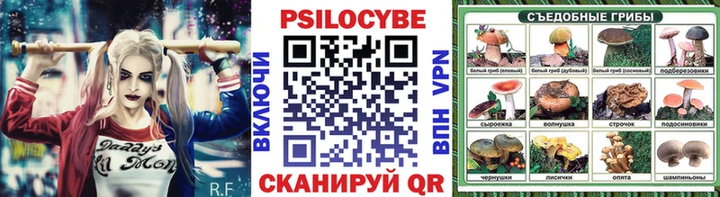 купить наркотики сайты  Цоци-Юрт  Псилоцибиновые грибы Psilocybe 